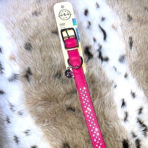 Bond & Co. Genuine Leather Dog Collar 18-21 inches (L,XL)